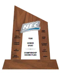 CONF-NEC NEC-2 Tournament Runner-Up
