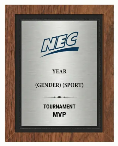 [BLD00177] CONF-NEC NEC-4 MVP