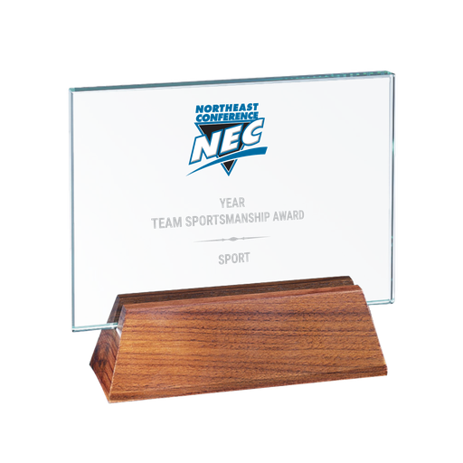 [BLD00169] CONF-NEC NEC15 Team Sportsmanship